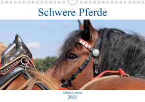 Schwere Pferde 2021 (Wandkalender 2021 DIN A4 quer) von Ludwig,  Sandra