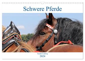 Schwere Pferde 2024 (Wandkalender 2024 DIN A3 quer), CALVENDO Monatskalender von Ludwig,  Sandra