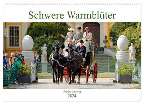 Schwere Warmblüter 2024 (Wandkalender 2024 DIN A2 quer), CALVENDO Monatskalender von Ludwig,  Sandra