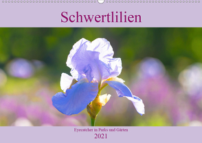 Schwertlilien – Eyecatcher in Parks und Gärten (Wandkalender 2021 DIN A2 quer) von Scheurer,  Monika