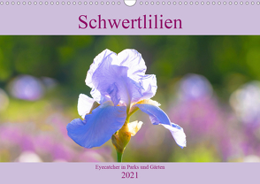 Schwertlilien – Eyecatcher in Parks und Gärten (Wandkalender 2021 DIN A3 quer) von Scheurer,  Monika