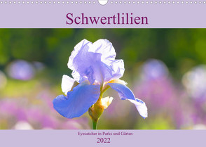 Schwertlilien – Eyecatcher in Parks und Gärten (Wandkalender 2022 DIN A3 quer) von Scheurer,  Monika