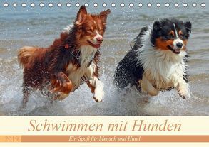 Schwimmen mit Hunden – Ein Spaß für Mensch und Hund (Tischkalender 2019 DIN A5 quer) von Chawera