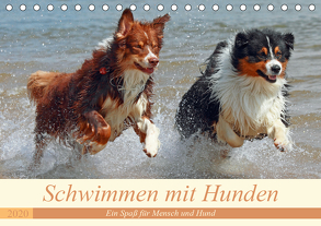 Schwimmen mit Hunden – Ein Spaß für Mensch und Hund (Tischkalender 2020 DIN A5 quer) von Chawera