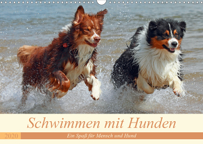 Schwimmen mit Hunden – Ein Spaß für Mensch und Hund (Wandkalender 2020 DIN A3 quer) von Chawera