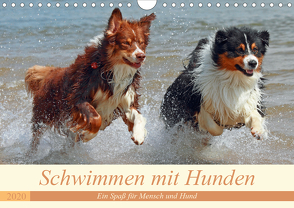 Schwimmen mit Hunden – Ein Spaß für Mensch und Hund (Wandkalender 2020 DIN A4 quer) von Chawera