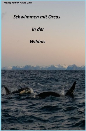 Schwimmen mit Orcas in der Wildnis von Köhler,  Mandy