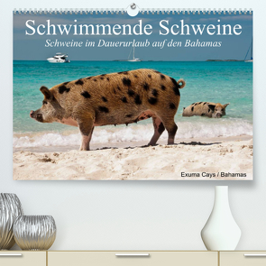 Schwimmende Schweine (Premium, hochwertiger DIN A2 Wandkalender 2023, Kunstdruck in Hochglanz) von Stanzer,  Elisabeth