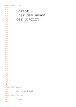 Script – Über das Wesen der Schrift von Stindl,  Christian