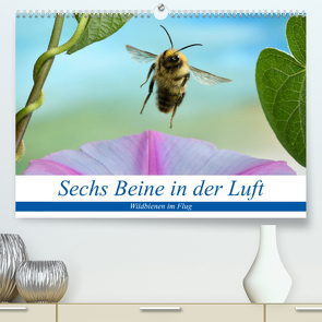 Sechs Beine in der Luft – Wildbienen im Flug (Premium, hochwertiger DIN A2 Wandkalender 2023, Kunstdruck in Hochglanz) von Skonieczny,  André