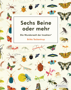 Sechs Beine oder mehr – Die Wunderwelt der Insekten und Spinnen von Teckentrup,  Britta