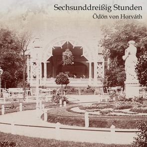 Sechsunddreißig Stunden von Kohfeldt,  Christian, Mill,  Julian, von Horváth,  Ödön