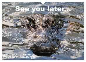 See you later … Florida Wildlife (Wandkalender 2024 DIN A3 quer), CALVENDO Monatskalender von Bade,  Uwe