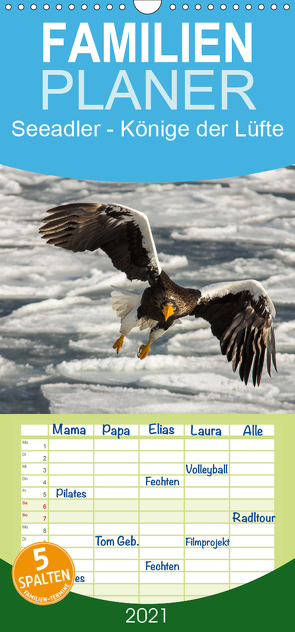 Seeadler – Könige der Lüfte – Familienplaner hoch (Wandkalender 2021 , 21 cm x 45 cm, hoch) von Schwarz Fotografie,  Thomas