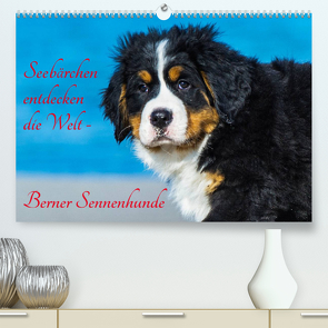 Seebärchen entdecken die Welt – Berner Sennenhunde (Premium, hochwertiger DIN A2 Wandkalender 2023, Kunstdruck in Hochglanz) von Starick,  Sigrid