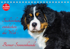 Seebärchen entdecken die Welt – Berner Sennenhunde (Tischkalender 2023 DIN A5 quer) von Starick,  Sigrid