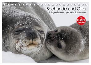 Seehunde und Otter. Putzige Gesellen, perfekte Schwimmer (Tischkalender 2024 DIN A5 quer), CALVENDO Monatskalender von Stanzer,  Elisabeth