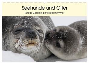 Seehunde und Otter. Putzige Gesellen, perfekte Schwimmer (Wandkalender 2024 DIN A2 quer), CALVENDO Monatskalender von Stanzer,  Elisabeth