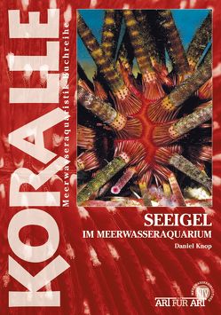 Seeigel im Meerwasseraquarium von Knop,  Daniel