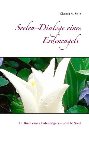 Seelen-Dialoge eines Erdenengels von Seite,  Clarissa M.