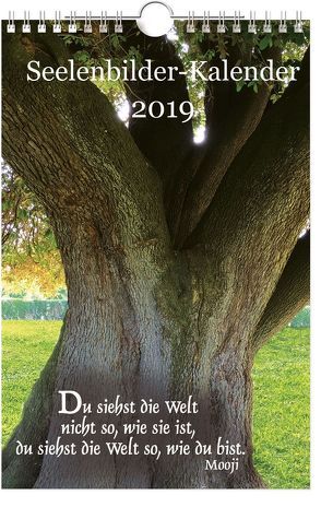 Seelenbilder-Kalender 2019 von Schirner,  Markus