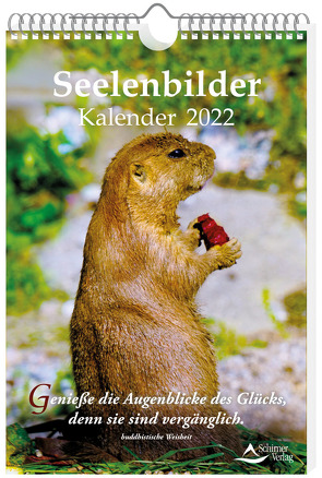 Seelenbilder-Kalender 2022 von Schirner,  Markus