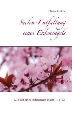 Seelen~Entfaltung eines Erdenengels von Seite,  Clarissa M.