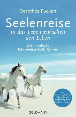 Seelenreise in das Leben zwischen den Leben von Fuckert,  Dorothea