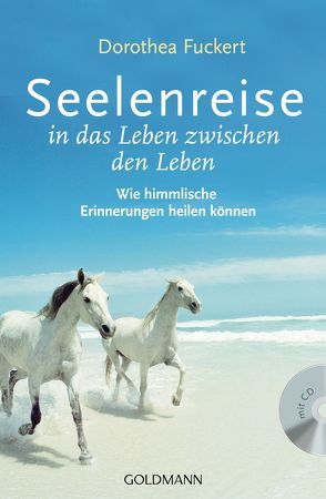 Seelenreise in das Leben zwischen den Leben von Fuckert,  Dorothea