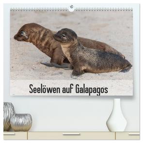 Seelöwen auf Galapagos (hochwertiger Premium Wandkalender 2024 DIN A2 quer), Kunstdruck in Hochglanz von Reuke,  Sabine