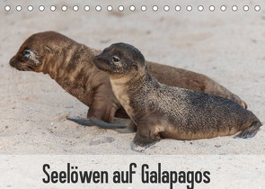 Seelöwen auf Galapagos (Tischkalender 2023 DIN A5 quer) von Reuke,  Sabine