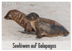 Seelöwen auf Galapagos (Tischkalender 2024 DIN A5 quer), CALVENDO Monatskalender von Reuke,  Sabine