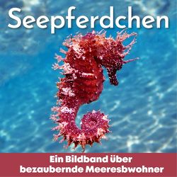 Seepferdchen von Hübsch,  Bibi