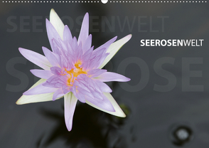 SeerosenWelt (Wandkalender 2021 DIN A2 quer) von Eichler,  Sandra