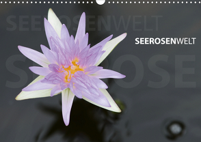 SeerosenWelt (Wandkalender 2021 DIN A3 quer) von Eichler,  Sandra