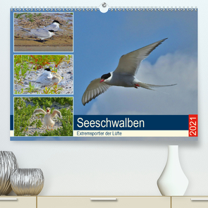 Seeschwalben – Extremsportler der Lüfte (Premium, hochwertiger DIN A2 Wandkalender 2021, Kunstdruck in Hochglanz) von Schaack,  René