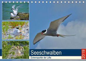 Seeschwalben – Extremsportler der Lüfte (Tischkalender 2019 DIN A5 quer) von Schaack,  René