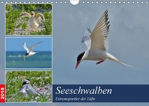 Seeschwalben – Extremsportler der Lüfte (Wandkalender 2018 DIN A4 quer) von Schaack,  René