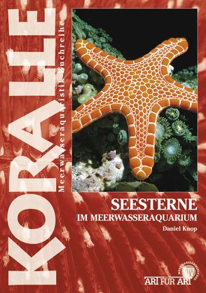 Seesterne im Meerwasseraquarium von Knop,  Daniel