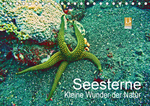 Seesterne – Kleine Wunder der Natur (Tischkalender 2020 DIN A5 quer) von Hess,  Andrea