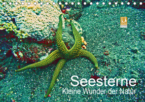 Seesterne – Kleine Wunder der Natur (Tischkalender 2021 DIN A5 quer) von Hess,  Andrea