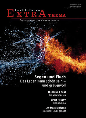 Segen und Fluch. Das Leben kann schön sein – und grauenvoll von Meesmann,  Hartmut, Weber,  Doris