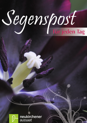 Segenspost für jeden Tag von Rauhut,  Ulrike, Reimer,  Eleonora