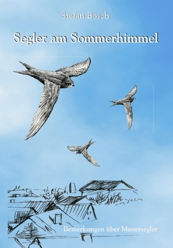 Segler am Sommerhimmel von Bosch,  Stefan