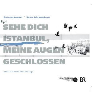 Sehe dich Istanbul, meine Augen geschlossen von Ammer,  Andreas, Schlamminger,  Saam