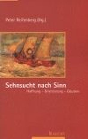 Sehnsucht nach Sinn von Reifenberg,  Peter