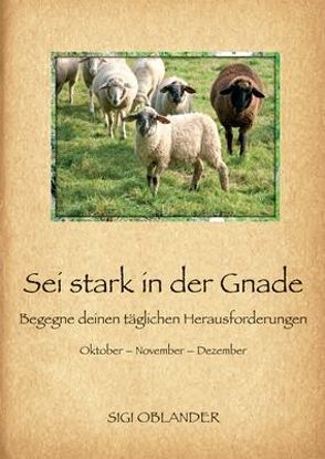 Sei stark in der Gnade – Begegne deinen täglichen Herausforderungen von Oblander,  Sigi