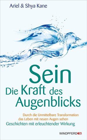 SEIN – Die Kraft des Augenblicks! von Kane,  Ariel, Kane,  Shya