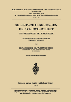 Selbstschilderungen der Verwirrtheit von Mayer-Groß,  Wilhelm