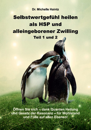 Selbstwertgefühl heilen als HSP und alleingeborener Zwilling Teil 1 und 2 von Haintz,  Dr. Michelle